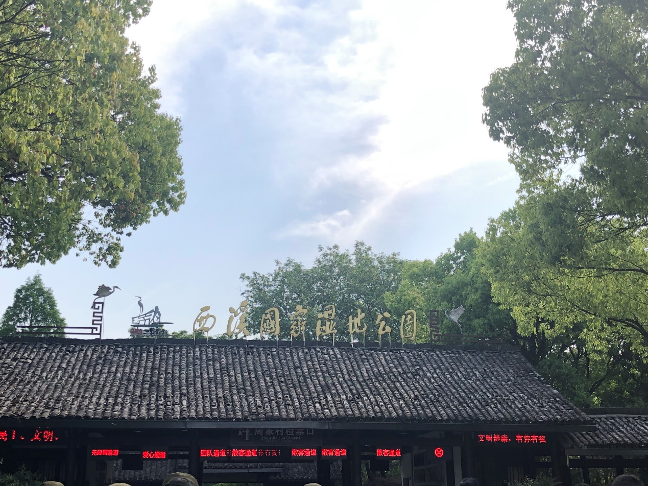 C:\Users\chjin\Desktop\宋城、西溪照片\西溪6.jpg